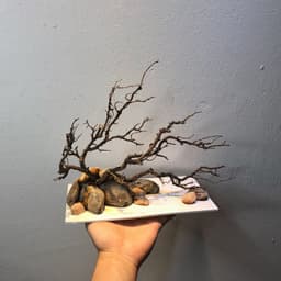 Layout Thuỷ Sinh Nature Ver.1 l Layout Tiểu Cảnh Trang Trí Bể Thủy Sinh | Đa Dạng Kích Thước | RF Aquarium 4