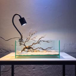 Layout Thuỷ Sinh Nature Ver.1 l Layout Tiểu Cảnh Trang Trí Bể Thủy Sinh | Đa Dạng Kích Thước | RF Aquarium 6