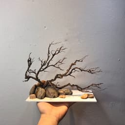 Layout Thuỷ Sinh Nature Ver.1 l Layout Tiểu Cảnh Trang Trí Bể Thủy Sinh | Đa Dạng Kích Thước | RF Aquarium 3