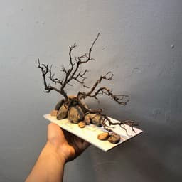 Layout Thuỷ Sinh Nature Ver.1 l Layout Tiểu Cảnh Trang Trí Bể Thủy Sinh | Đa Dạng Kích Thước | RF Aquarium 5