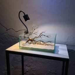 Layout Thuỷ Sinh Nature Ver.1 l Layout Tiểu Cảnh Trang Trí Bể Thủy Sinh | Đa Dạng Kích Thước | RF Aquarium 7