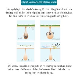 Bộ dầu gội, serum Michi giúp mọc tóc,ngăn rụng,gàu,nấm,ngứa, tẩy da chết da đầu Hàn Quốc 6
