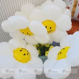 Bóng hình hoa cúc trang trí sinh nhật phong cách Hàn Quốc 3