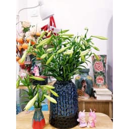 Bình cắm hoa màu xanh, chuông cắm hoa ly,sen, súng  hoa tết cao 28cm 5