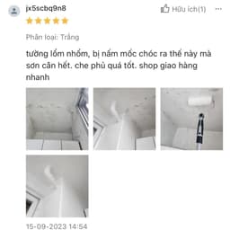 (5 lít) Sơn tường trong nhà MAXILITE MK14 độ che phủ cao, dễ thi công thích hợp sơn lại tường cũ - phân khúc kinh tế 2