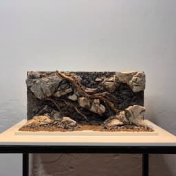 Layout Vách Suối Ver.2 Đá Da Voi | Chế Tác Từ Nguyên Liệu Tự Nhiên An Toàn Cho Cá Tép | RF Aquarium 2