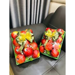 (Bộ KhayTúi) đựng hoa quả, trái cây nhập khẩu 1kg, 3kg, 5kg 8