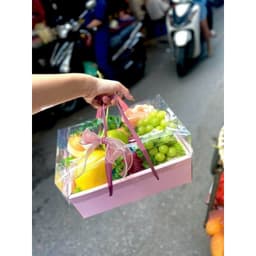 Hộp Túi đựng Hoa Quả,  Đựng Trái Cây, Hộp đựng quà tết sang xịn 4