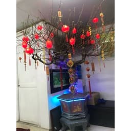 Dây đèn lồng đỏ treo trang trí dài 5M loại 16 Quả 8Cm 4