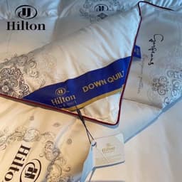 Ruột Chăn Lông Vũ Siêu Nhẹ Hilton Nhập Khẩu 3kg ,Kích Thước 2mx 2m3 3