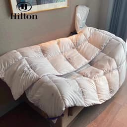 Ruột Chăn Lông Vũ Siêu Nhẹ Hilton Nhập Khẩu 3kg ,Kích Thước 2mx 2m3 4