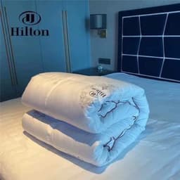 Ruột Chăn Lông Vũ Siêu Nhẹ Hilton Nhập Khẩu 3kg ,Kích Thước 2mx 2m3 6