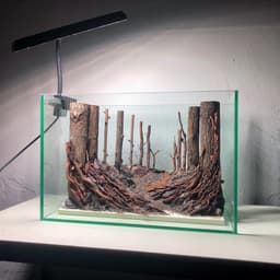 Layout Thuỷ Sinh Rừng Ver.5 | Chế Tác Thủ Công Từ Gỗ Lũa Tự Nhiên | RF Aquarium 7