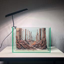 Layout Thuỷ Sinh Rừng Ver.5 | Chế Tác Thủ Công Từ Gỗ Lũa Tự Nhiên | RF Aquarium 6