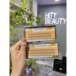 Hộp lông mi giả Nesura chùm đuôi cá sợi mi siêu nhẹ mềm mượt dành cho makeup trang điểm chuyên nghiệp - HIty Beauty 3