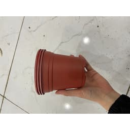 Chậu nhựa trồng hoa (kích thước 120x105mm) shop lấy màu ngẫu nhiên 2