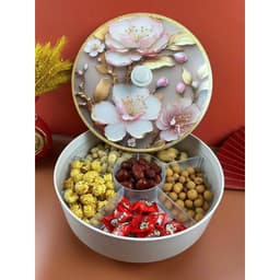 Khay đựng mứt tết, bánh kẹo hoa quả tết hình cánh nơ 4