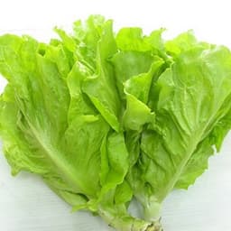 Hạt giống rau Xà lách year round gói 2gram hàng công ty 2