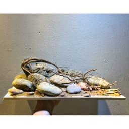 Layout Đá Cuội Ver.1 | Đơn Giản Cho Bể Cá Phong Cách Blackwater | RF Aquarium 2