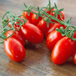 Hạt giống Cà chua cherry đỏ (bi đỏ) hàng công ty 3