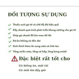 PROTEIN ADE - Nuôi gà tơ, nở khung, lên cân, bóng lông 7