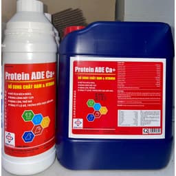 PROTEIN ADE - Nuôi gà tơ, nở khung, lên cân, bóng lông 5