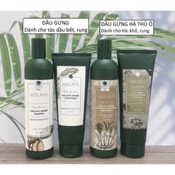 (Công ty) Cặp Dầu Gội Xả Gừng Weilaiya Giảm Rụng, Mọc Tóc Nhanh| Cherry Beauty 3
