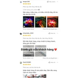 Đèn Led hình Đèn Lồng 8 khía dài 10M nhiều chế độ nhấp nháy treo cây trang trí Tết 8