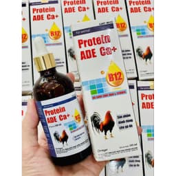 Protein ADE Ca+ 100ml Vitamin B12 tăng nước máu, tăng bo, tăng lực, bổ máu gà đá, gà cựa, gà đòn. 2