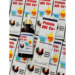 Protein ADE Ca+ 100ml Vitamin B12 tăng nước máu, tăng bo, tăng lực, bổ máu gà đá, gà cựa, gà đòn. 3