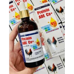 Protein ADE Ca+ 100ml Vitamin B12 tăng nước máu, tăng bo, tăng lực, bổ máu gà đá, gà cựa, gà đòn. 4