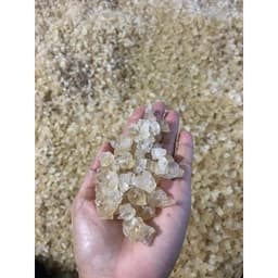 Mủ Trôm Vĩnh Hảo 1kg Hạt Lựu Lớn Nguyên Chất Tại Vườn Thanh Nhiệt Tại hutohutoshop 6