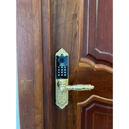 Khóa điện tử Laffer WB0 cổ điển sảnh đồng thông minh cho cửa gỗ biệt thự cao cấp TTLOCK màu vàng màu đồng 6