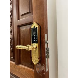 Khóa điện tử Laffer WB0 cổ điển sảnh đồng thông minh cho cửa gỗ biệt thự cao cấp TTLOCK màu vàng màu đồng 4
