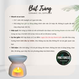 Đèn Xông Tinh Dầu Gốm Sứ Tráng Men Bát Tràng, Đèn Đốt Tinh Dầu Bằng Nến Tealight 4