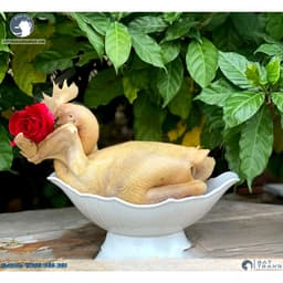 Bát thuyền đựng gà cúng nguyên con, hoa quả nhựa pcc trắng dày cao cấp 5