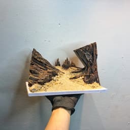 Layout Thuỷ Sinh Hẻm Núi Ver.5 | Nghệ Thuật Cảnh Quan Từ Gỗ Đá Tự Nhiên Điểm Nhấn Cho Bể Cá | RF Aquarium 6