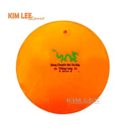 BÓNG CHUYỀN HƠI LOẠI I  - BÓNG CHUYỀN HƠI THI ĐẤU Hải Âu, Anh Huy, Rồng, TLV  - Tặng kèm kim bơm 5