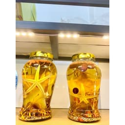 Bình 1,5 Lít - Bình Ngâm Rượu Ngâm Sâm,Hoa Quả, Đông trùng hạ thảo,ngâm và bảo quản đồ 6