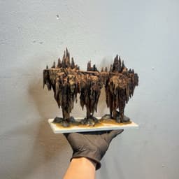RF Aquarium l Layout Đảo Bay Ver 2 - Driftwood Tiểu Cảnh Thủy Sinh Đa Dạng Kích Thước 3