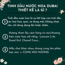 Nước hoa tinh dầu dubai PEMIKI dạng lăn 12ml thơm lâu 24h - Pemiki Store 4