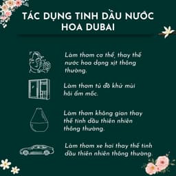 Nước hoa tinh dầu dubai PEMIKI dạng lăn 12ml thơm lâu 24h - Pemiki Store 5