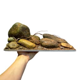 Layout Đá Cuội Ver.2 |  Đơn Giản Trang Trí Cho Bể Cá Phong Cách Biotop | RF Aquarium 2