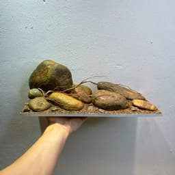 Layout Đá Cuội Ver.2 |  Đơn Giản Trang Trí Cho Bể Cá Phong Cách Biotop | RF Aquarium 6
