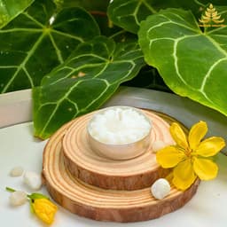 Hộp 21 Viên Nến Xu Tealight Sáp Bơ Organic, An Toàn, Không Khói ,Nến Bơ Thực Vật Trang Trí, Cúng Phật,Thần Tài Cháy 2h 5