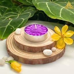 Hộp 21 Viên Nến Xu Tealight Sáp Bơ Organic, An Toàn, Không Khói ,Nến Bơ Thực Vật Trang Trí, Cúng Phật,Thần Tài Cháy 2h 6