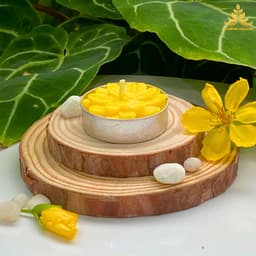 Vỉ 10 Viên Nến Tealight Hoa Bơ Trường Nguyên Organic, Không Khói,  Nhiều Màu, Cúng Mụ, Xông Tinh Dầu, Dâng Lễ 7