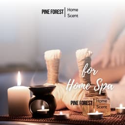 Đèn Xông Tinh Dầu Gốm Sứ Tráng Men Bát Tràng, Đèn Đốt Tinh Dầu Bằng Nến Tealight 6