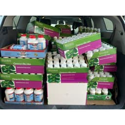 Viên uống bổ não Ginkgo Biloba của Mỹ 340 viên 4