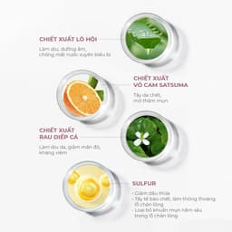 Serum hỗ trợ xử lý mụn,giảm mụn,giảm dầu nhờn, tái tạo da mụn GSC ACNE CLEAR AMPOULE 15ml 7
